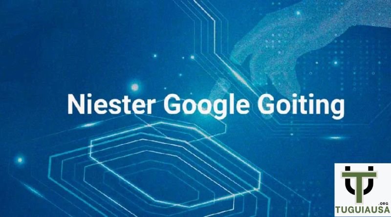 Niester Google Goiting